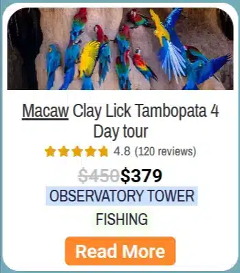 15 Puerto Maldonado Amazon Tours 2 Macaw Clay Lick 4 days tour in Tambopata