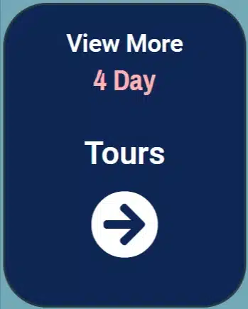 15 Puerto Maldonado Amazon Tours 4 Peru Amazon Rainforest 4 day tour